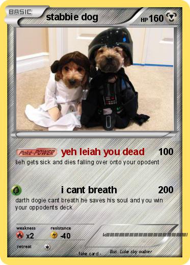 Pokemon stabbie dog
