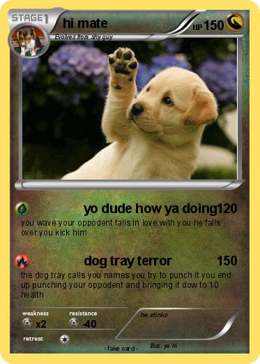 Pokemon hi mate