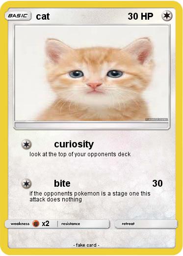 Pokemon cat