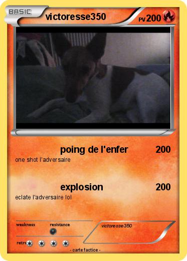 Pokemon victoresse350