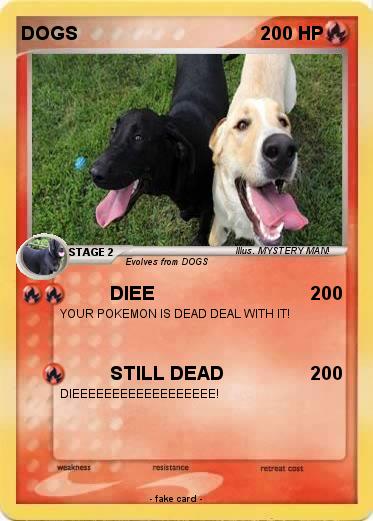 Pokemon DOGS