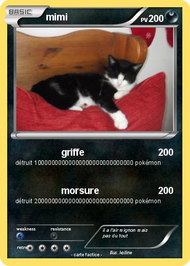 Pokemon mimi