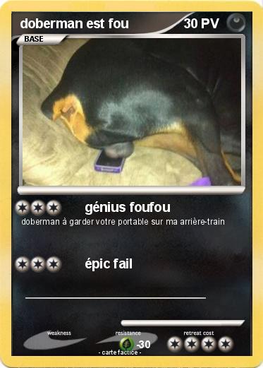 Pokemon doberman est fou