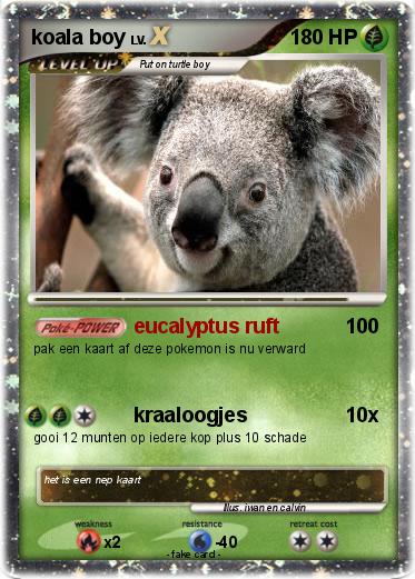 Pokemon koala boy