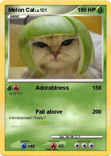 Pokemon Melon Cat