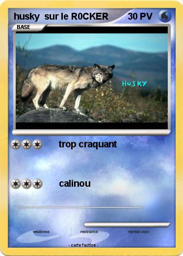Pokemon husky  sur le R0CKER