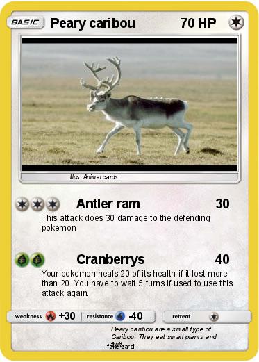Pokemon Peary caribou