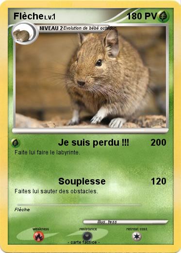 Pokemon Flèche