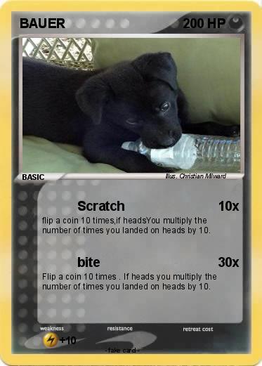 Pokemon BAUER