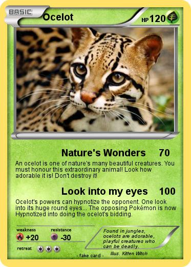 Pokemon Ocelot