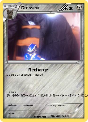 Pokemon Dresseur