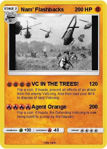 Pokemon Nam' Flashbacks