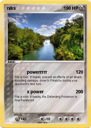 Pokemon niks