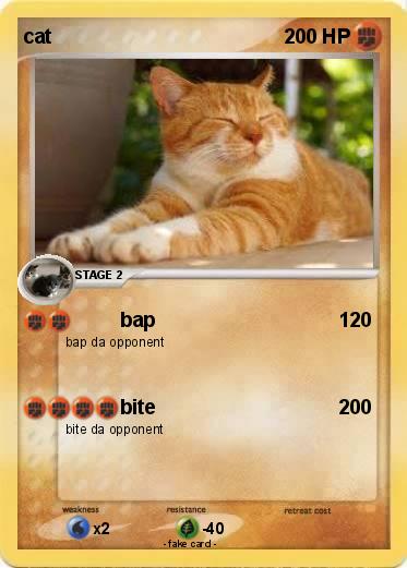 Pokemon cat