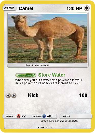 Pokemon Camel