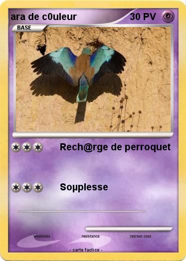 Pokemon ara de c0uleur