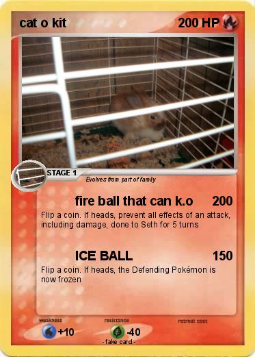 Pokemon cat o kit
