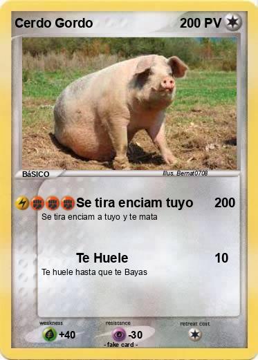 Pokemon Cerdo Gordo