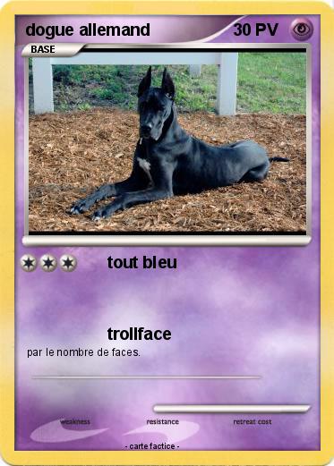 Pokemon dogue allemand