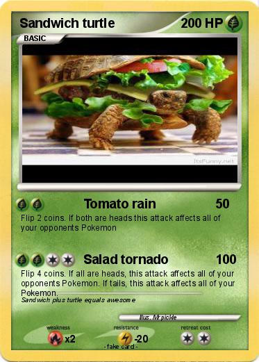 Pokemon Sandwich turtle