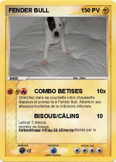 Pokemon FENDER BULL
