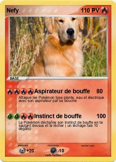 Pokemon Nefy