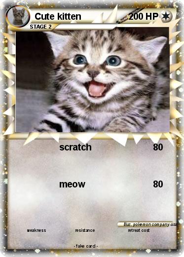 Pokemon Cute kitten