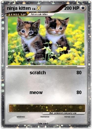 Pokemon ninja kitten