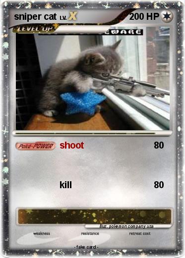 Pokemon sniper cat