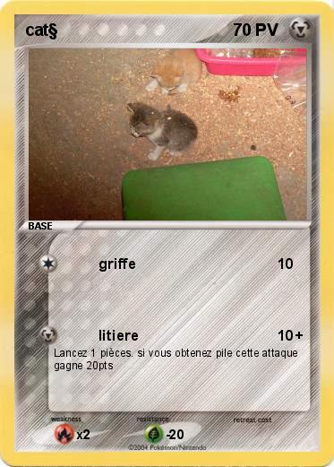 Pokemon cat§