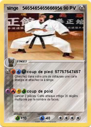 Pokemon singe   5465465465666954