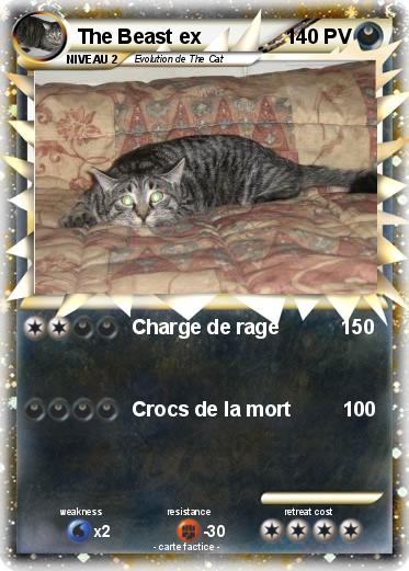 Pokemon The Beast ex