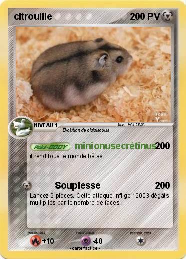 Pokemon citrouille