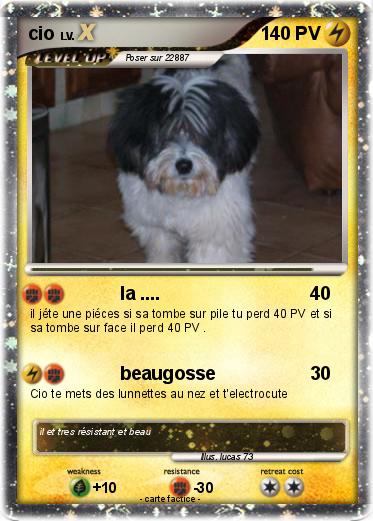 Pokemon cio