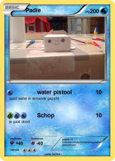 Pokemon Padie