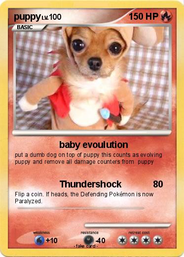 Pokemon puppy
