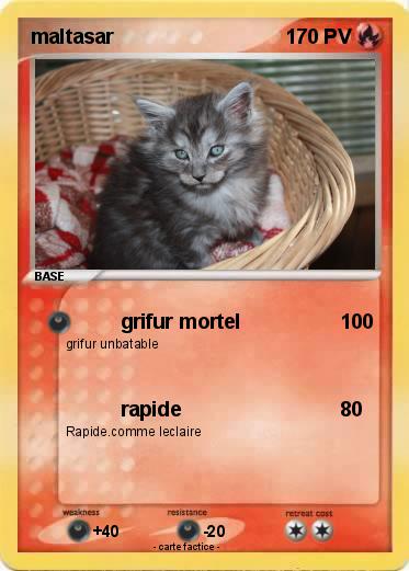 Pokemon maltasar