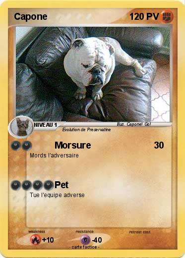 Pokemon Capone