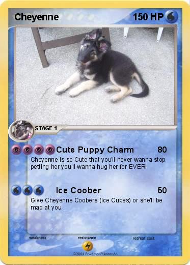 Pokemon Cheyenne