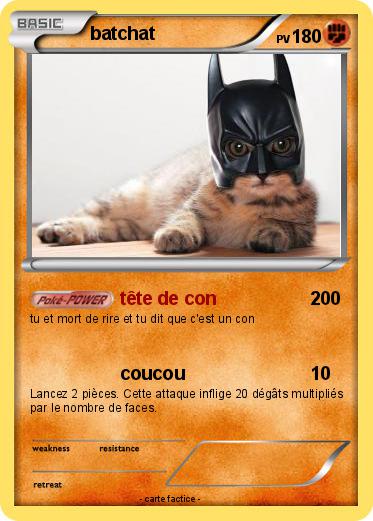 Pokemon batchat                                           288888888