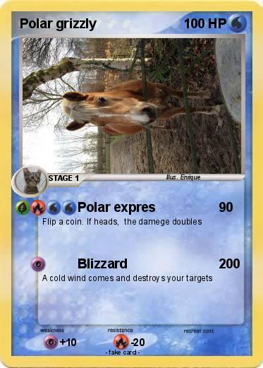 Pokemon Polar grizzly