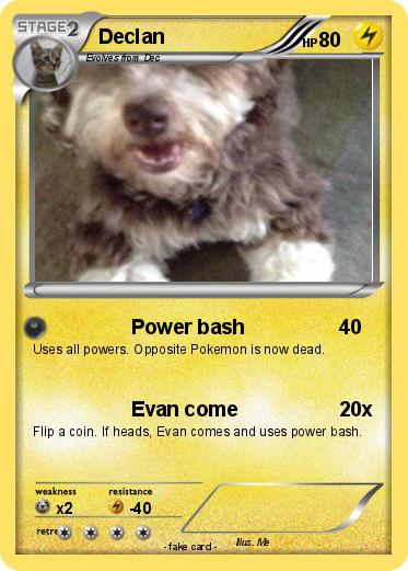 Pokemon Declan