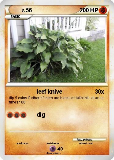 Pokemon z.56