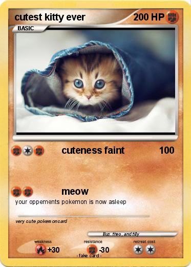 Pokemon cutest kitty ever