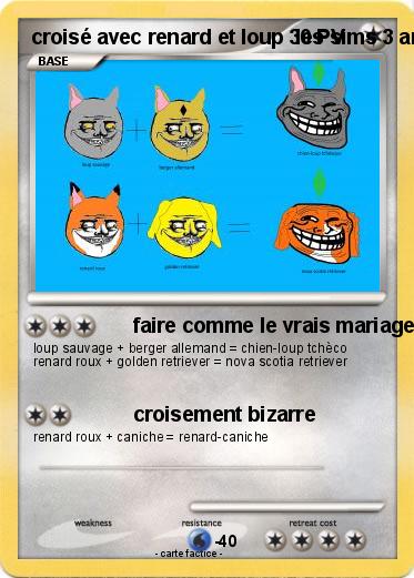 Pokemon croisé avec renard et loup  les sims 3 animaux & cie