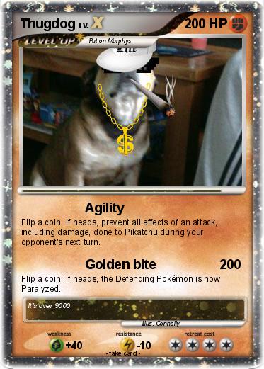 Pokemon Thugdog