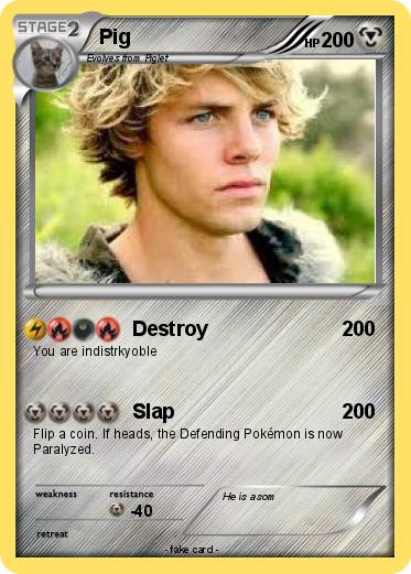 Pokemon Pig
