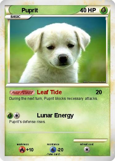 Pokemon Puprit