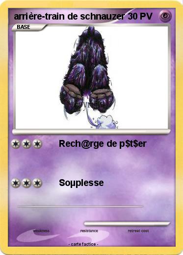 Pokemon arrière-train de schnauzer
