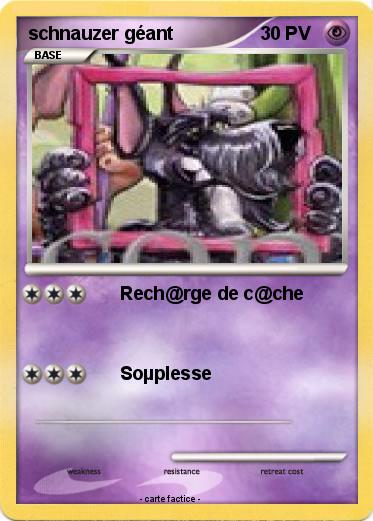 Pokemon schnauzer géant